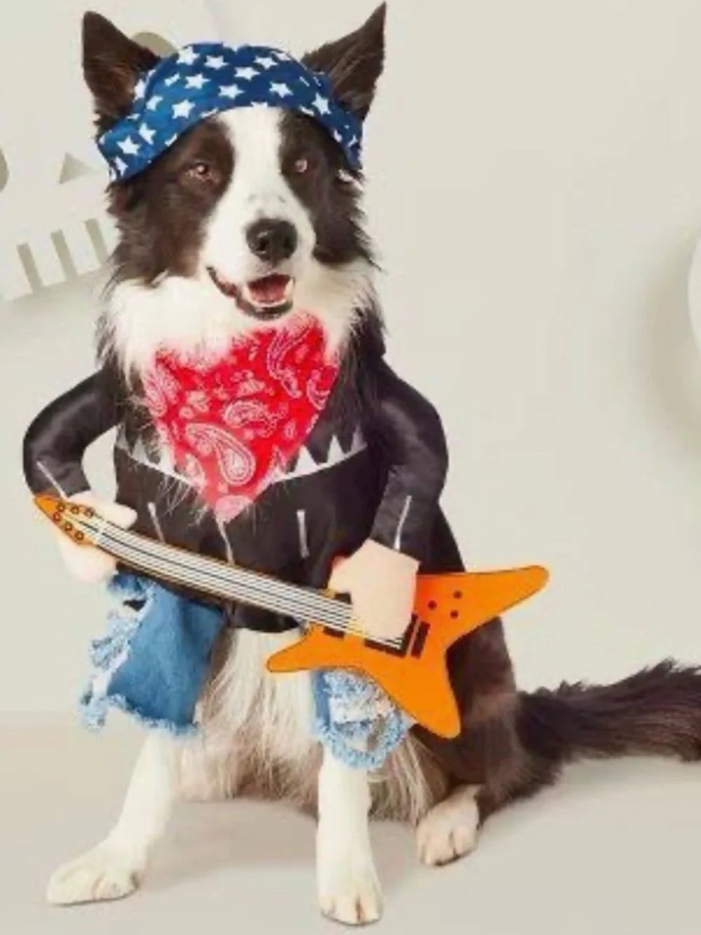 Pet Rock & Roll Costume Guitar